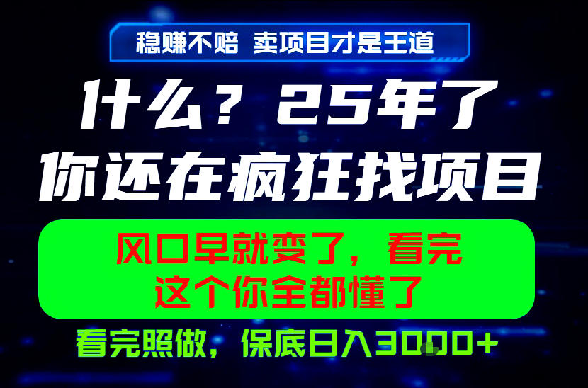 26年，请不要疯狂的找项目做了！卖项目才是真的稳賺不赔，看完照做，保底日入1k+【揭秘】-2ripyou
