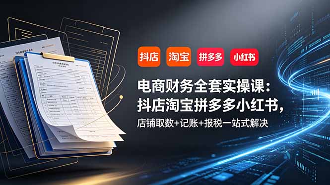 电商财务全套实操课：抖店淘宝拼多多小红书，店铺取数+记账+报税一站式解决-2ripyou