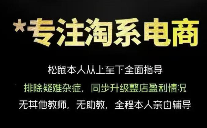 松鼠会电商VIP课程，从基础布局到高阶优化，助你掌握淘宝运营逻辑，提升店铺流量与转化-2ripyou