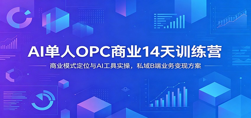 AI单人OPC商业14天训练营：商业模式定位与AI工具实操，私域B端业务变现方案-2ripyou