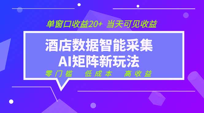 2026酒店数据采集ai智能矩阵新风口  低成本   高收益   当天见收益   单窗口20+-2ripyou