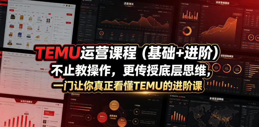 TEMU运营课程(基础+进阶)，不止教操作，更传授底层思维，一门让你真正看懂TEMU的进阶课-2ripyou