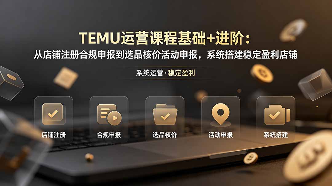 TEMU运营课程(基础+进阶-2ripyou