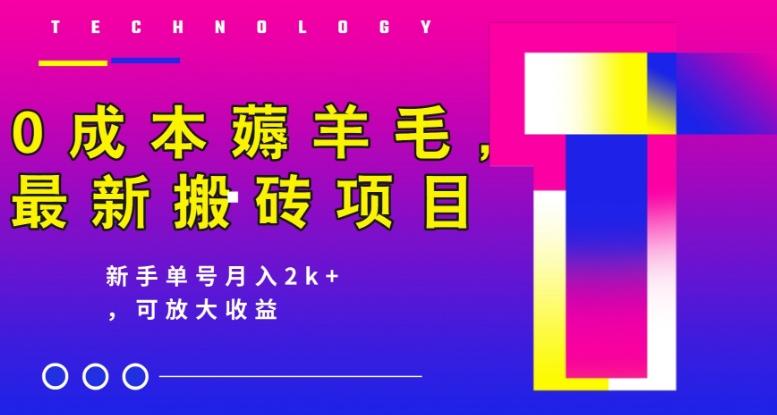 0成本薅羊毛，最新搬砖项目，新手单号月入2k+，可放大操作-2ripyou
