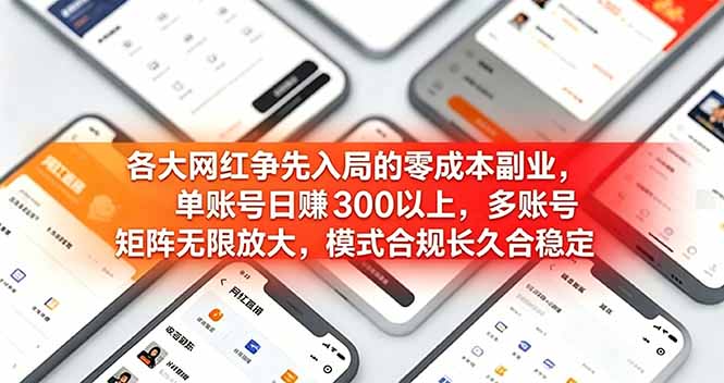 各大网红争先入局的零成本副业，单账号日赚 300 以上，多号矩阵可放大，模式合规长久稳定！-2ripyou