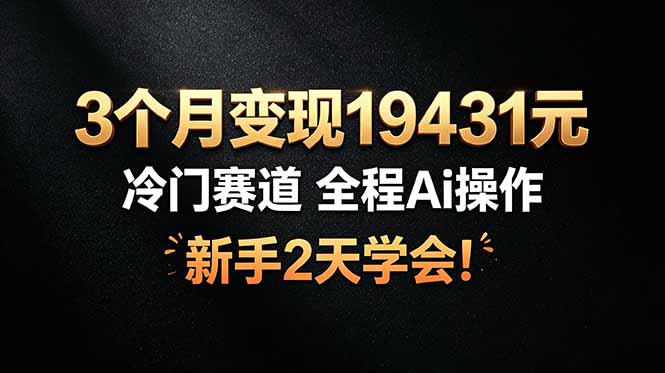 3个月变现19431元，冷门赛道 全程Ai操作，新手2天学会！-2ripyou