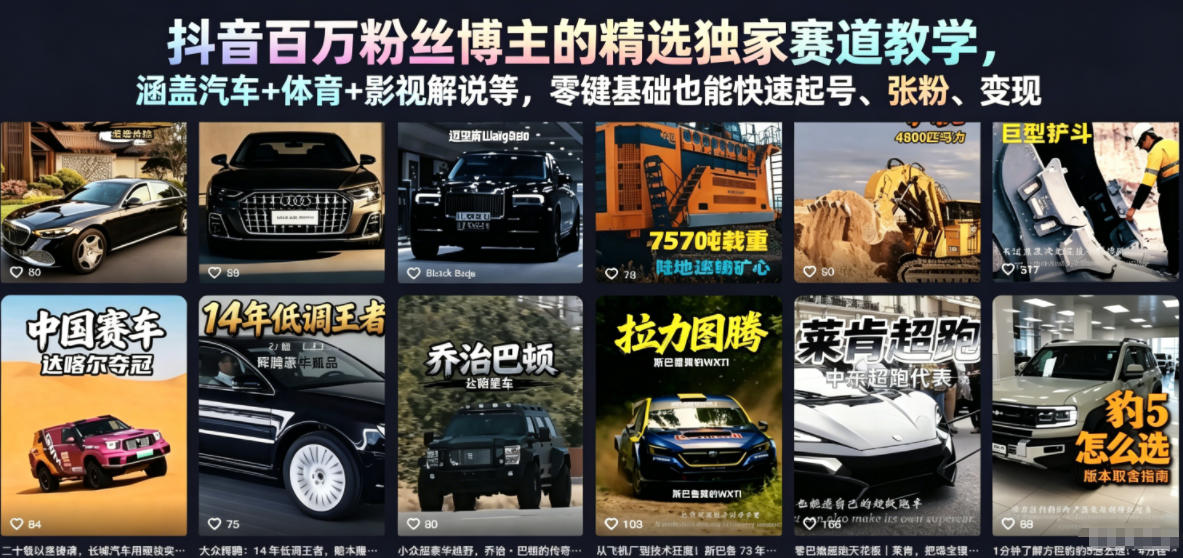 抖音百万粉丝博主的精选独家赛道教学，涵盖汽车+体育+影视解说等，零基础也能快速起号、涨粉、变现(更新0701)-2ripyou