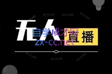 宝子哥·无人直播-非实时防风技术(更新7月)-2ripyou