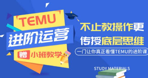 阿卡林·TEMU运营课程(基础+进阶)-2ripyou