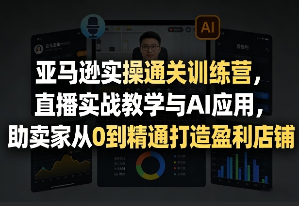 亚马逊实操通关训练营，直播实战教学与AI应用，助卖家从0到精通打造盈利店铺(更新7月3日)-2ripyou