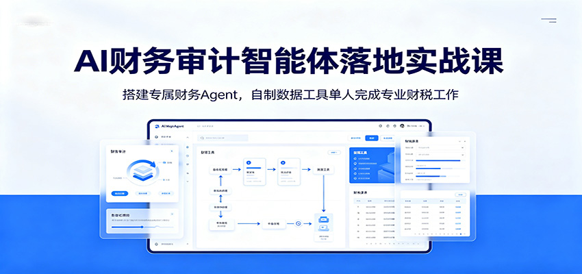 AI财务审计智能体落地实战课：搭建专属财务Agent，自制数据工具单人完成专业财税工作-2ripyou