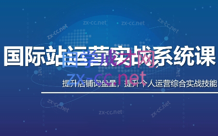 白老师·国际站运营实战系统(高质量询盘增长课)(更新)-2ripyou