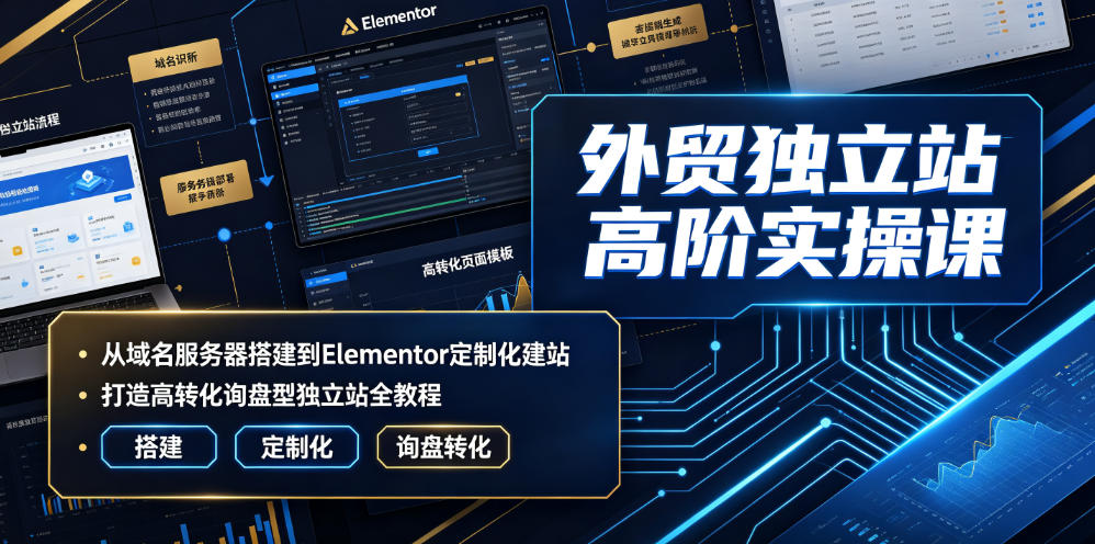 外贸独立站高阶实操课｜从域名服务器搭建到Elementor定制化建站，打造高转化询盘型独立站全教程-2ripyou