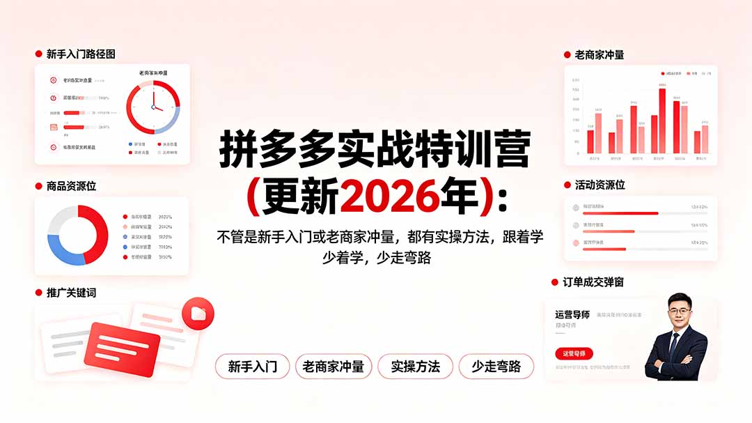 拼多多实战特训营(更新2026年-2ripyou