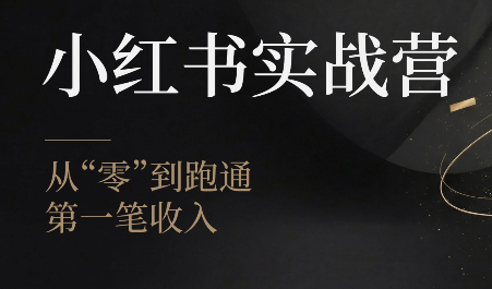 金金老师·小红书实战营-2ripyou