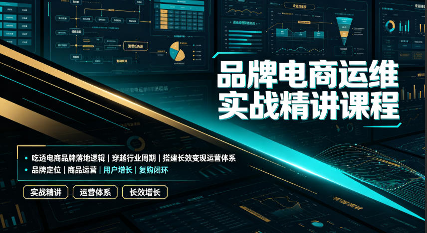 品牌电商运维实战精讲课程｜吃透电商品牌落地逻辑、穿越行业周期、搭建长效变现运营体系-2ripyou