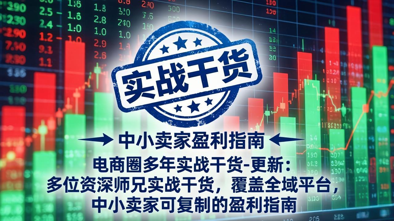 电商圈多年实战干货-更新2026：多位资深师兄实战干货/覆盖全域平台，中小卖家可复制的盈利指南-2ripyou